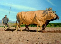 /album/fotogaleria/buena-jpg/